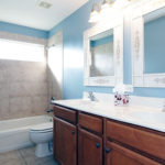 Toilet Plunger Tips